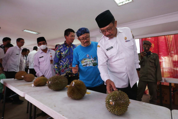 Festival Durian HUT Ke 22 Provinsi Banten Untuk Perkenalkan Durian Lokal Banten